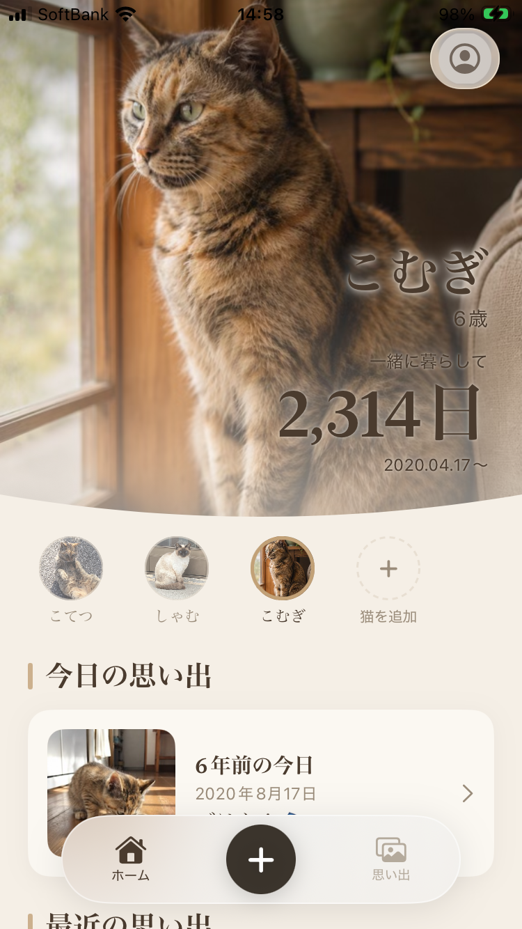 猫の一生アルバムのスクリーンショット 1