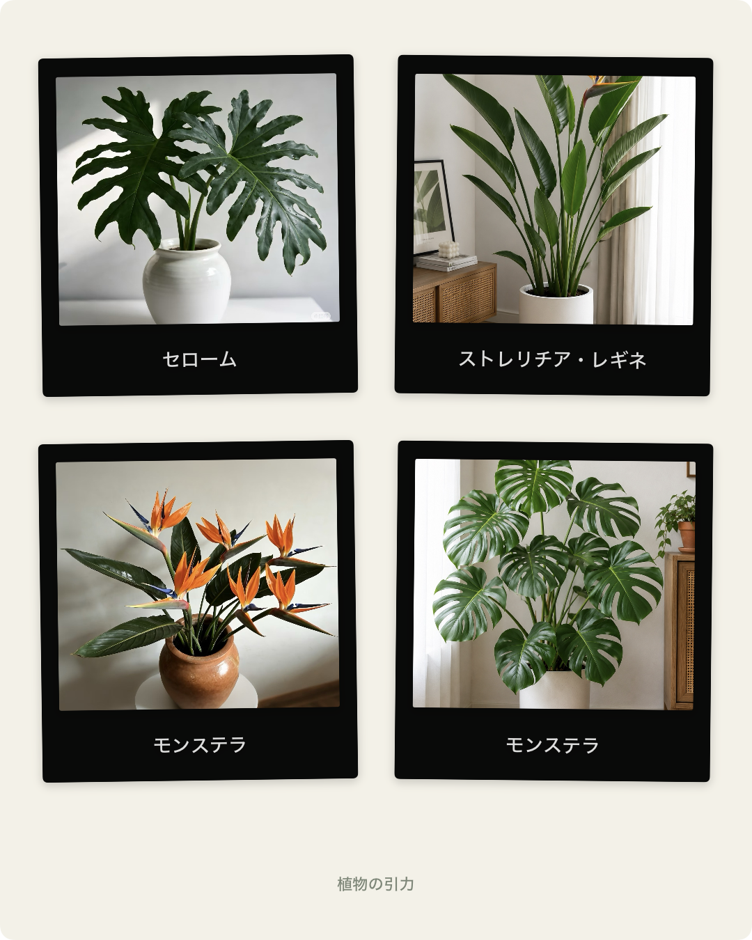 植物の引力 - 観葉植物の成長記録のスクリーンショット 4