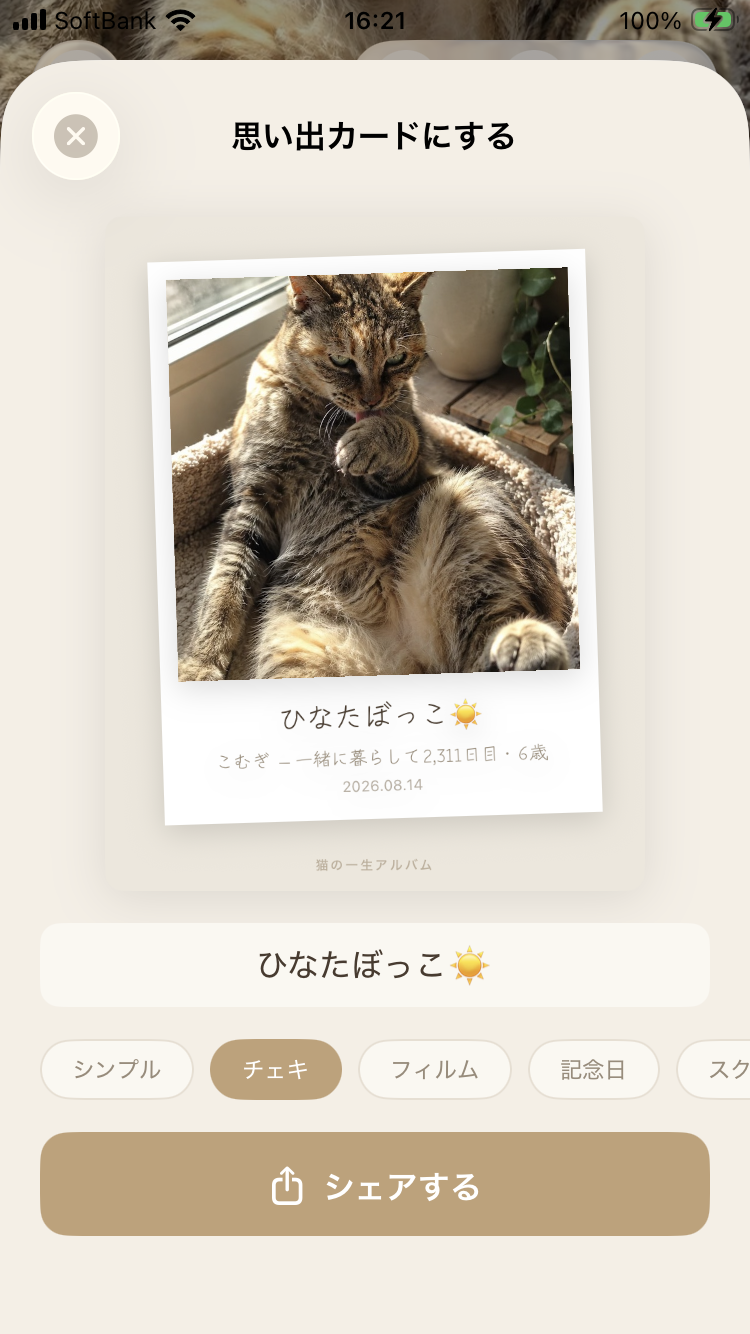猫の一生アルバムのスクリーンショット 5